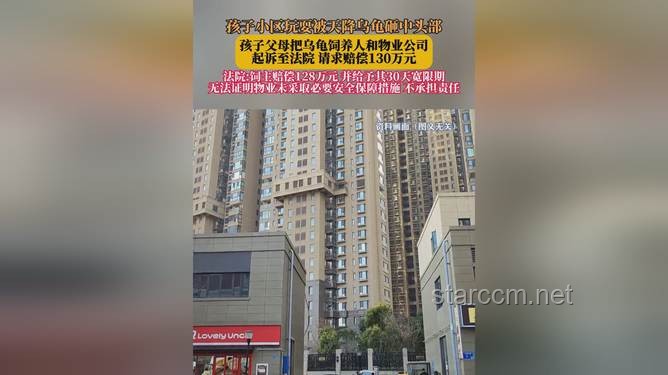 小孩被天降乌龟砸死，饲主赔偿128万的警示